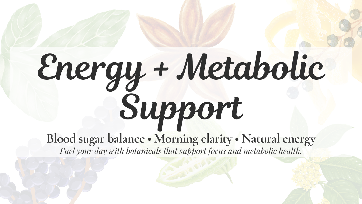 Energy + Metabolic Support